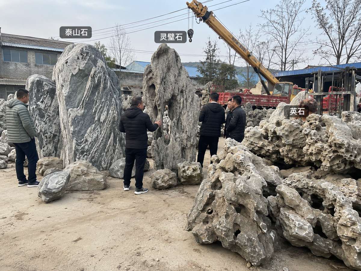 黑山石、千层石、太湖石、龟纹石怎么选？庭院假山常用石材区别一次讲明白