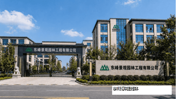 大型假山鱼池设计施工一体化哪家公司好？